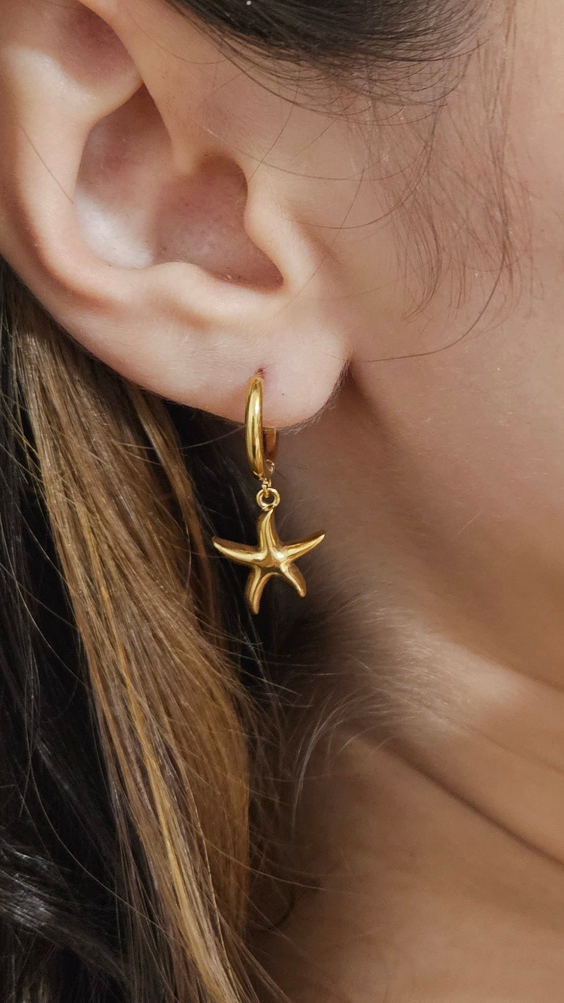 Argollas Estrella de Mar